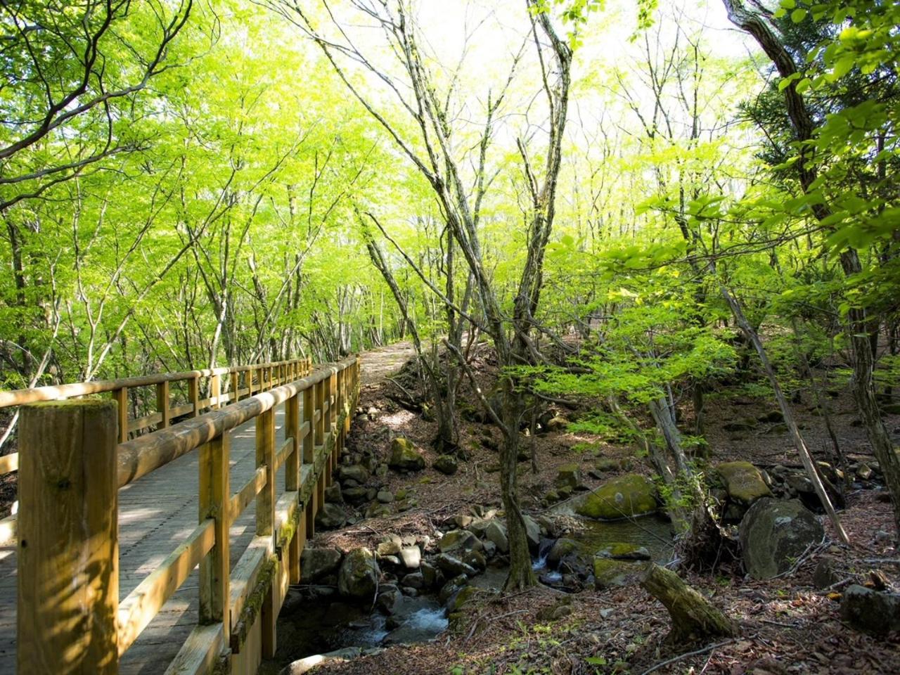 Kamikawa  Mineyama Kogen Hotel Relaxia المظهر الخارجي الصورة